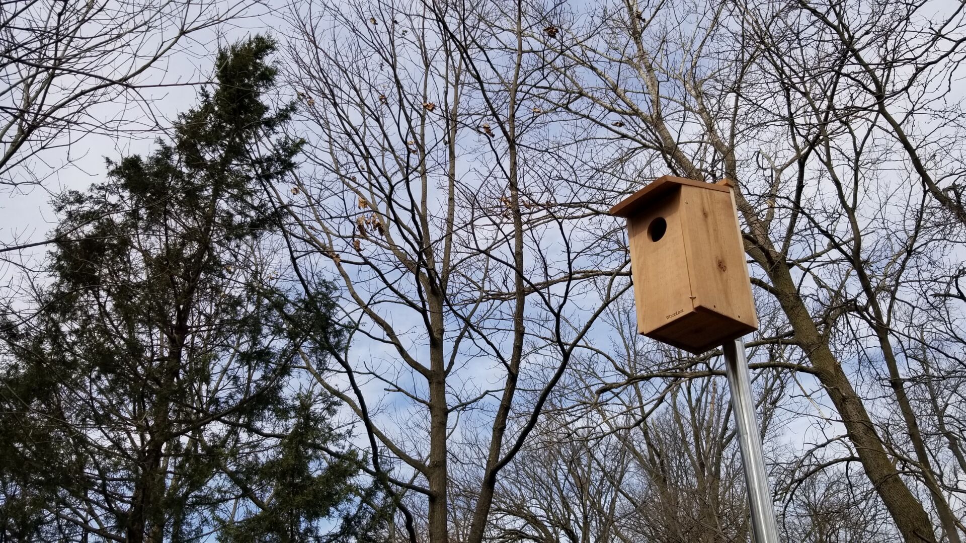 20220318_100435.jpg